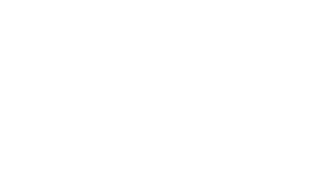 Agente 17